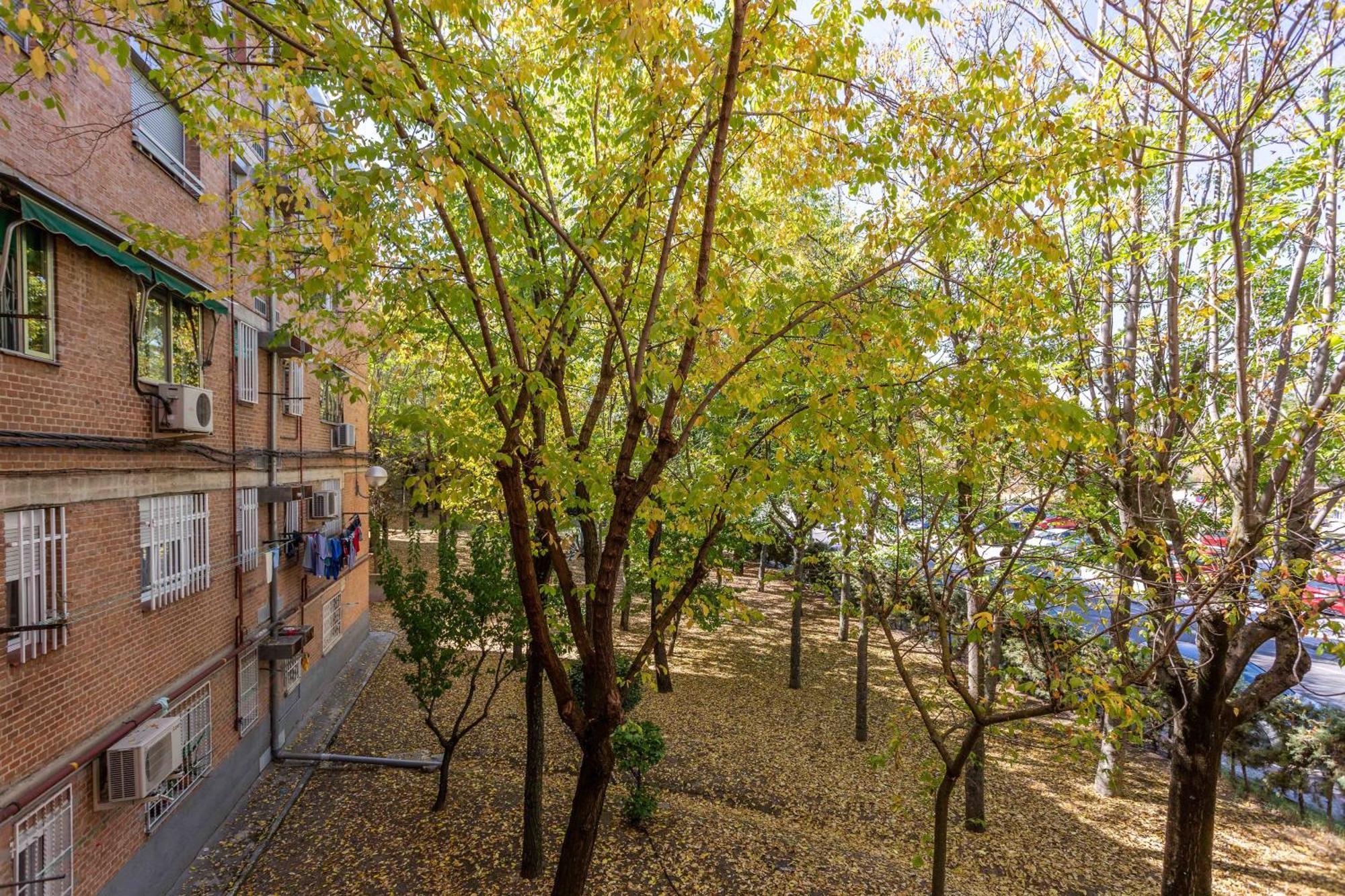 Apartamento 3 Habs Madrid Az10 Dış mekan fotoğraf